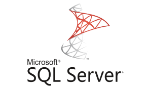 Ms SQL Server